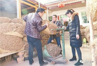 岷县:中药材产业化水平稳步提升